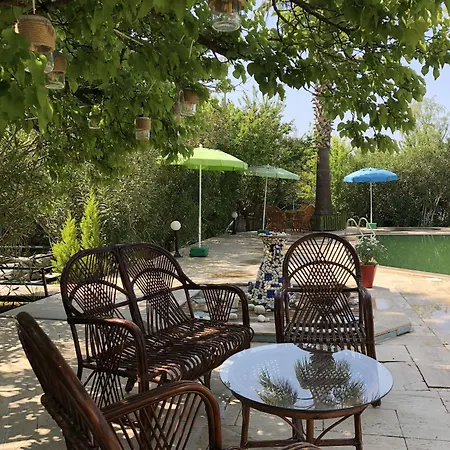 فندق Yengec Restaurant